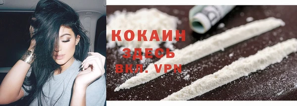 apvp Инсар