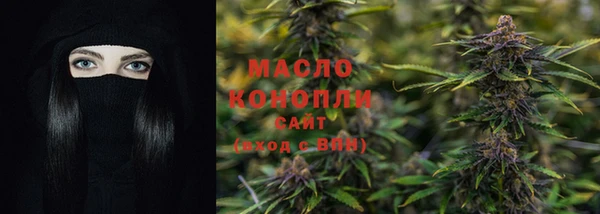 мдпв Каменногорск