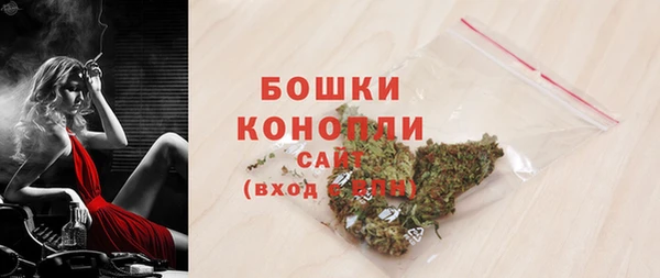 PSILOCYBIN Иннополис