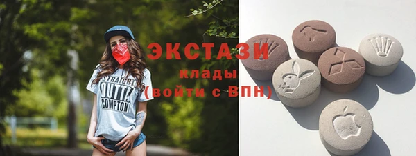 мдпв Каменногорск
