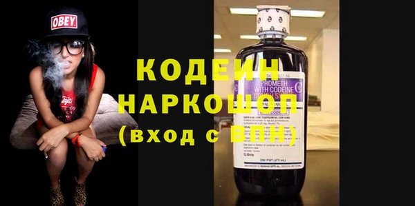 мдпв Каменногорск