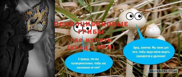 а пвп мука Инта
