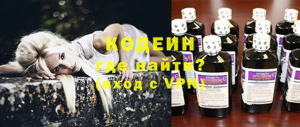 мдпв Каменногорск