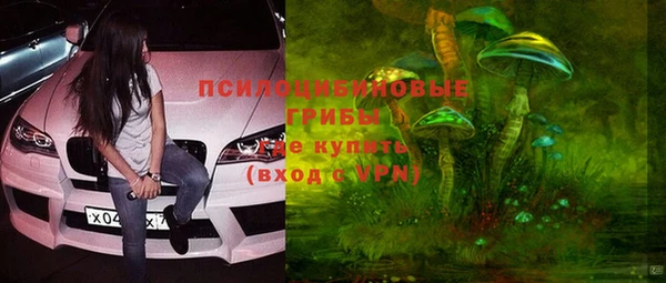 альфа пвп Каменка