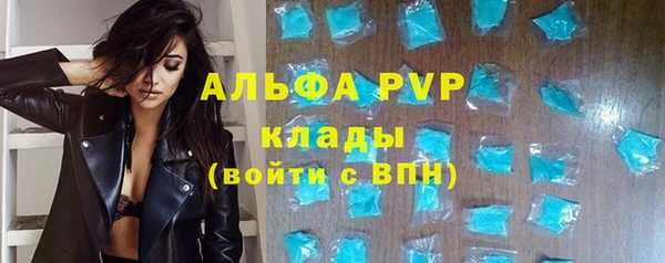 PSILOCYBIN Иннополис